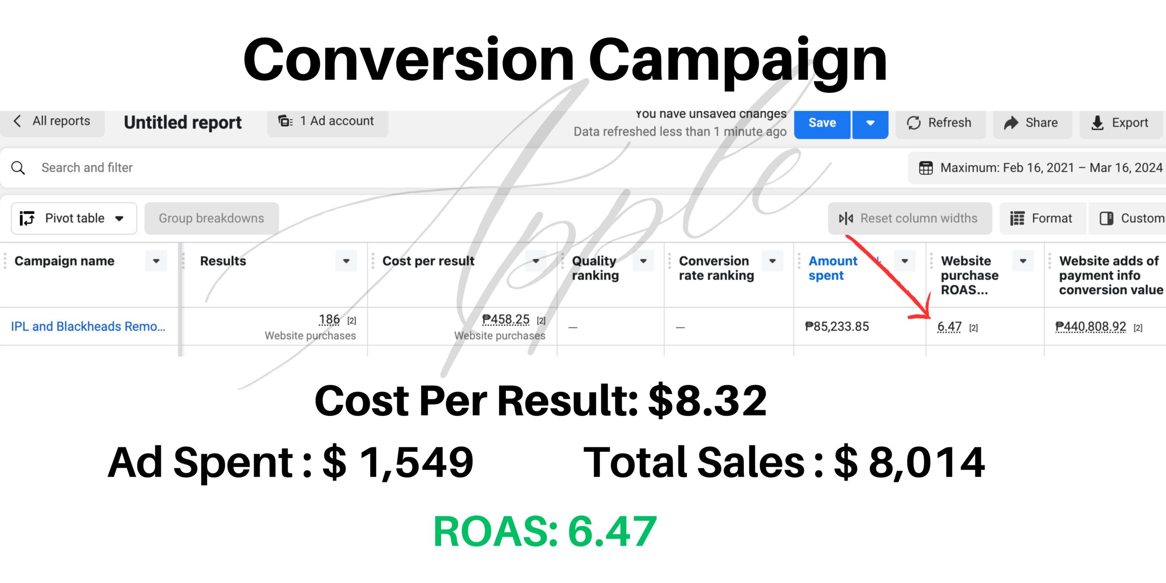 Meta Ads Manager report for the Glowin Skin conversion campaign
