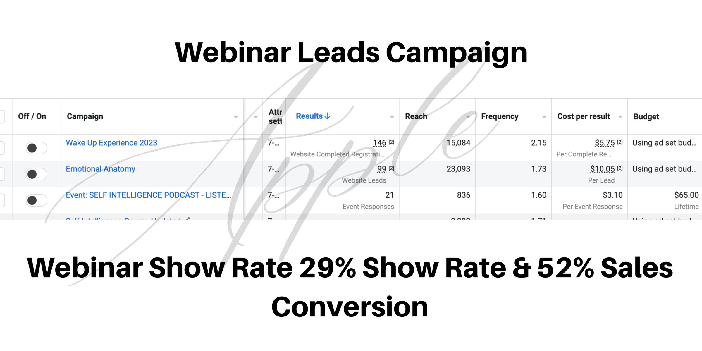 Meta Ads Manager results for the Self Intelligence webinar campaigns